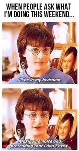 Harry Potter gets me.